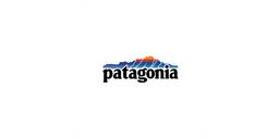 Patagonia brand logo