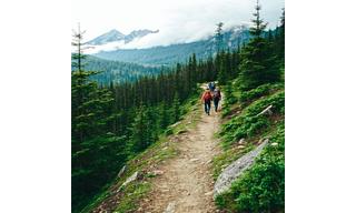 Hikers on trail ascending coastal mountain with lush forest